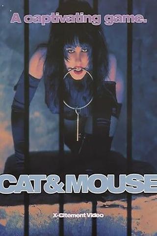 Cat & Mouse poster