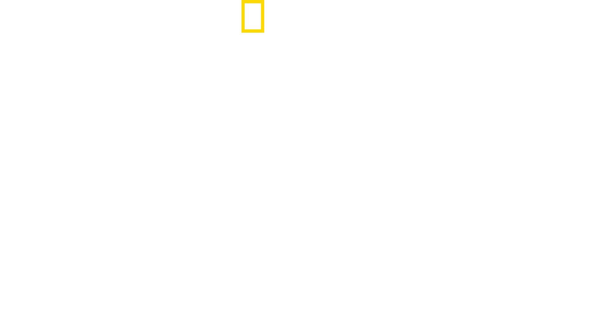 Night Stalkers logo