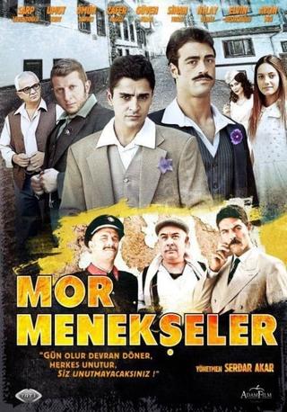 Mor Menekşeler poster