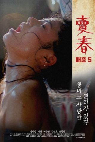 Prostitution 5 poster