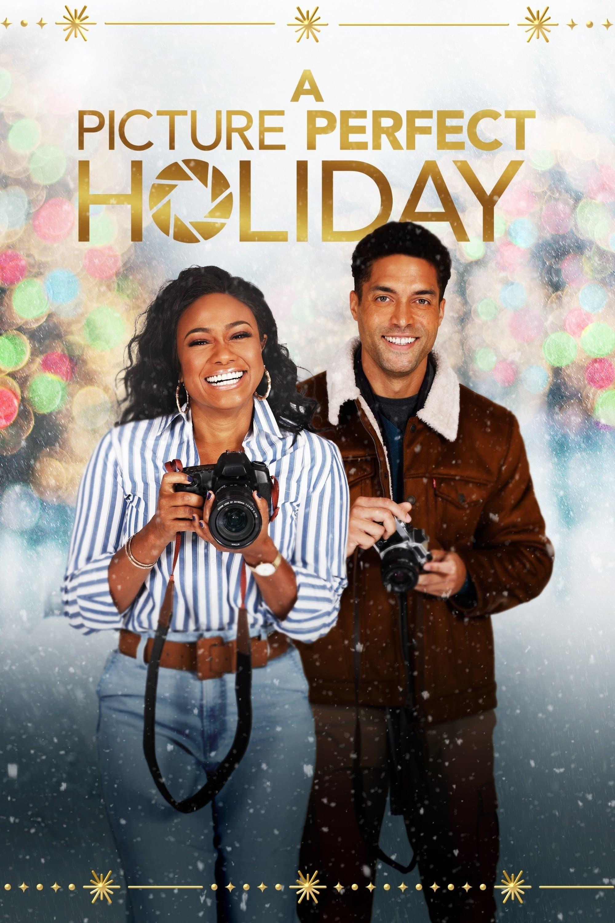 A Picture Perfect Holiday poster