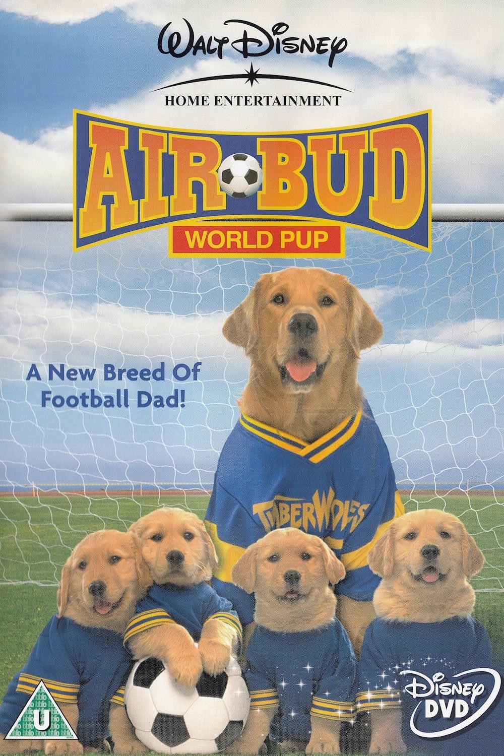 Air Bud: World Pup poster