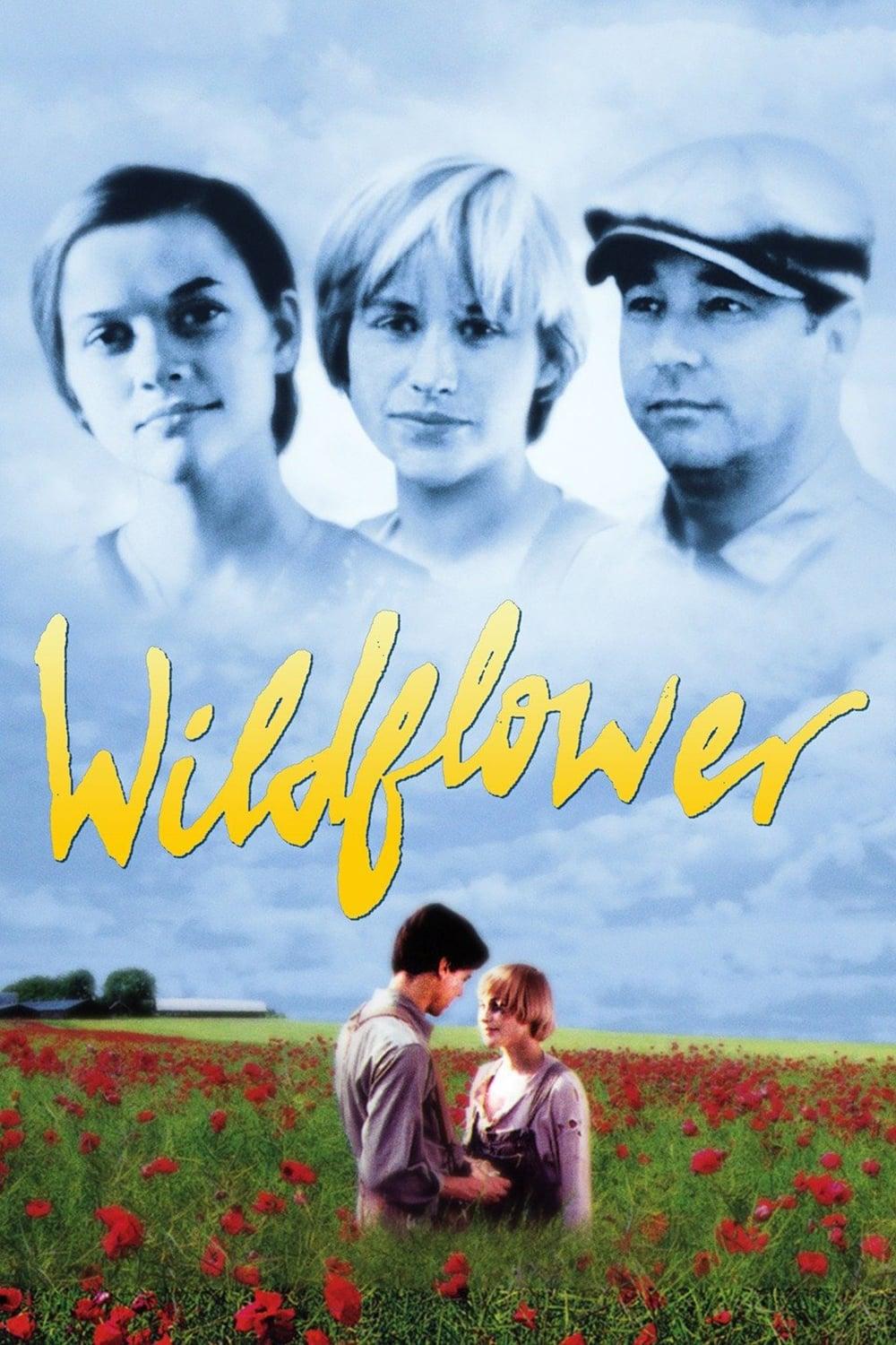 Wildflower poster