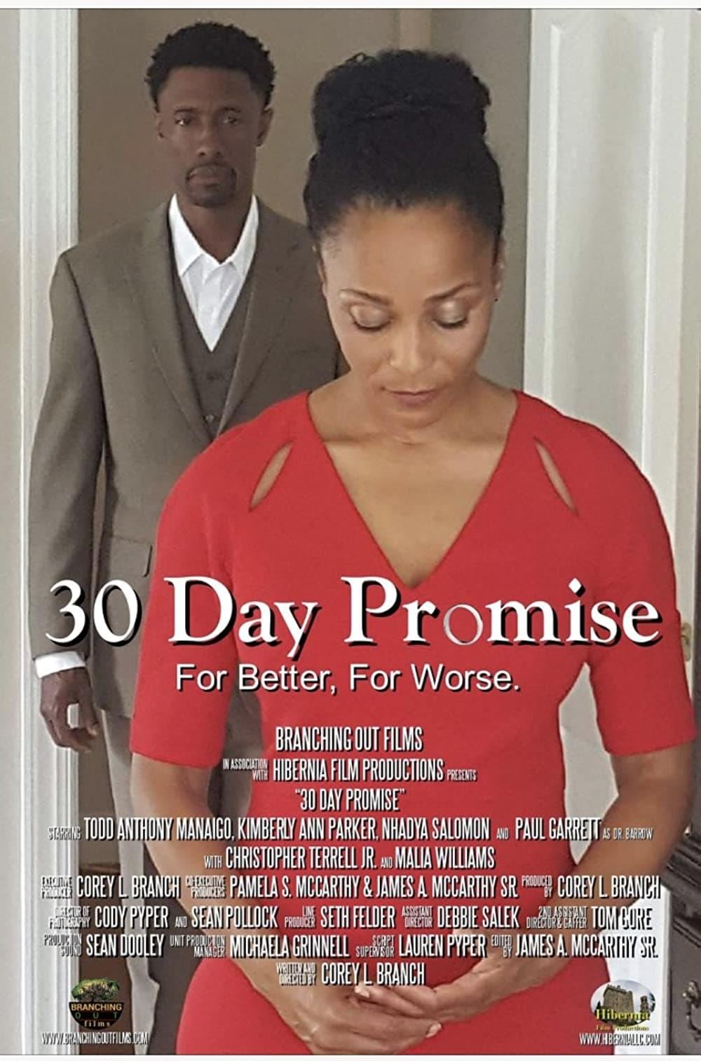 30 Day Promise poster