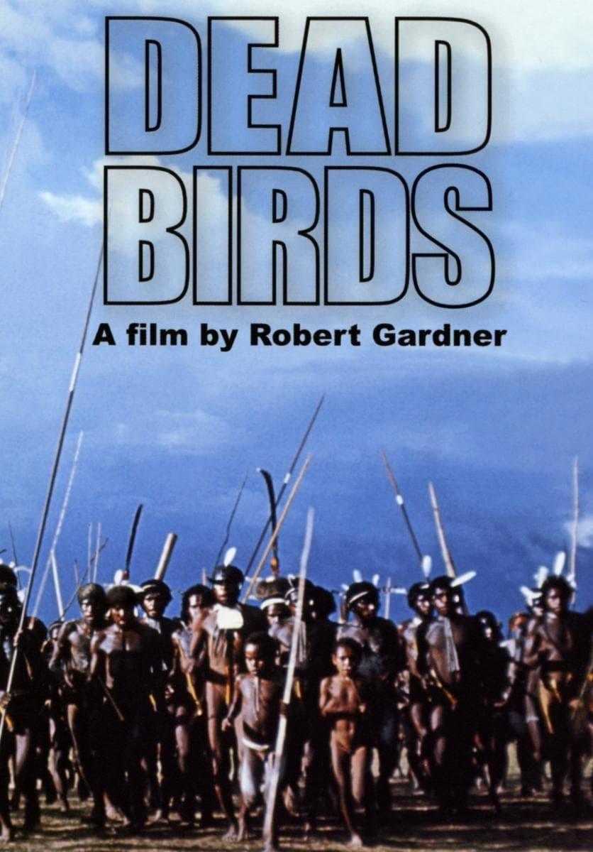 Dead Birds poster