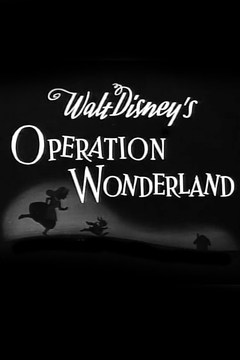 Operation Wonderland poster