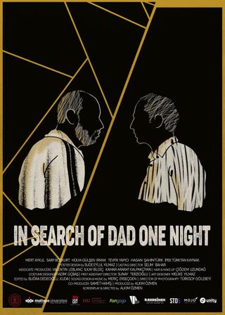 In Search of Dad One Night poster