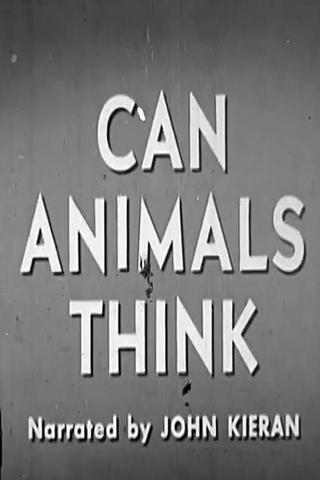 Can Animals Think poster