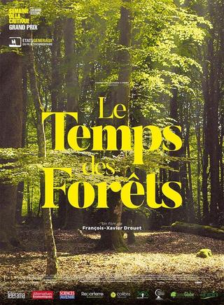 The Time of Forests poster