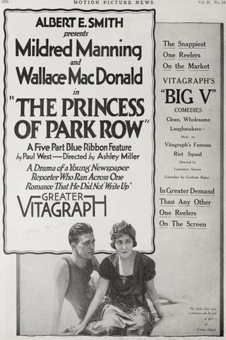 The Princess of Park Row poster