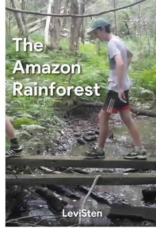 The Amazon Rainforest poster