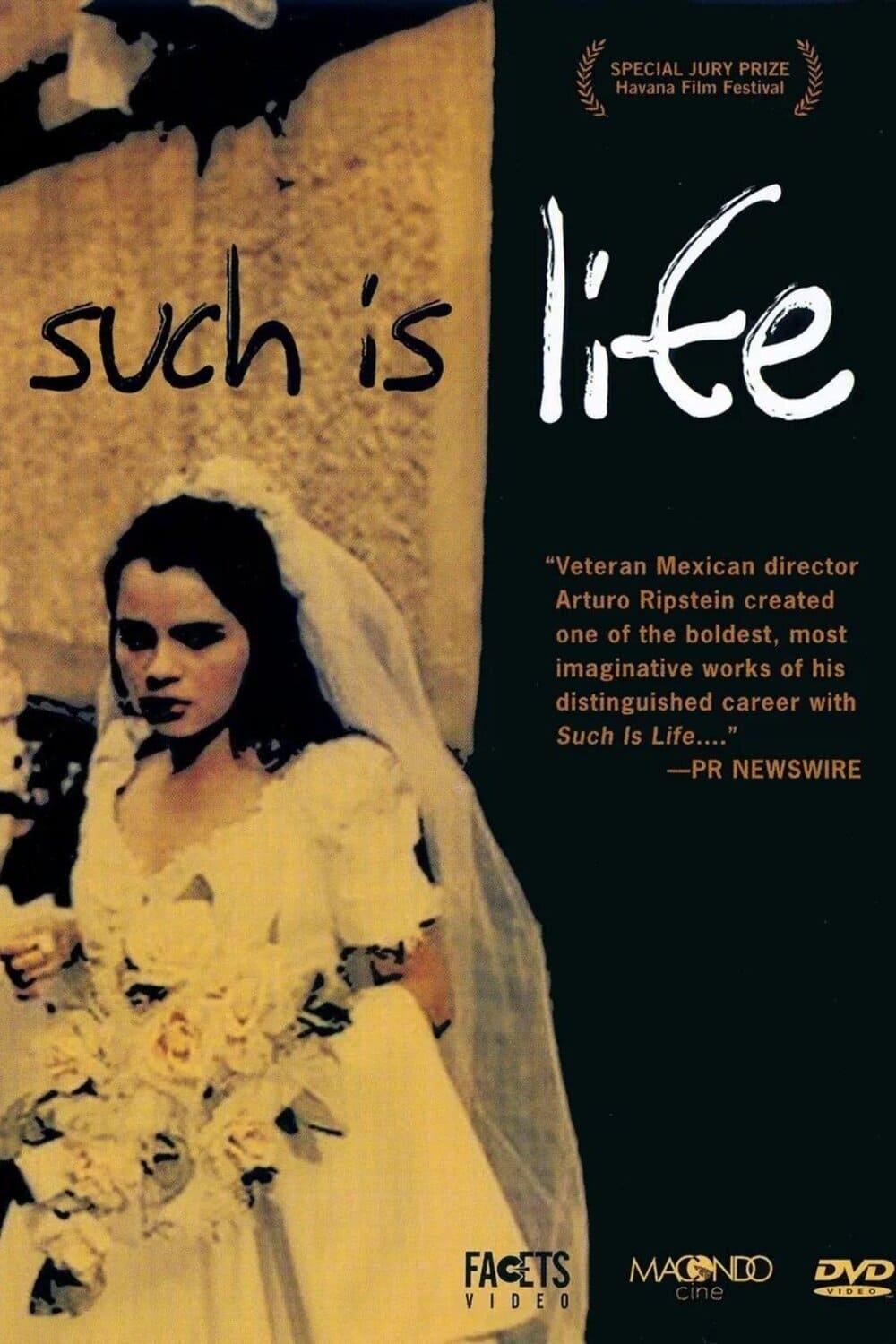 Such is Life poster