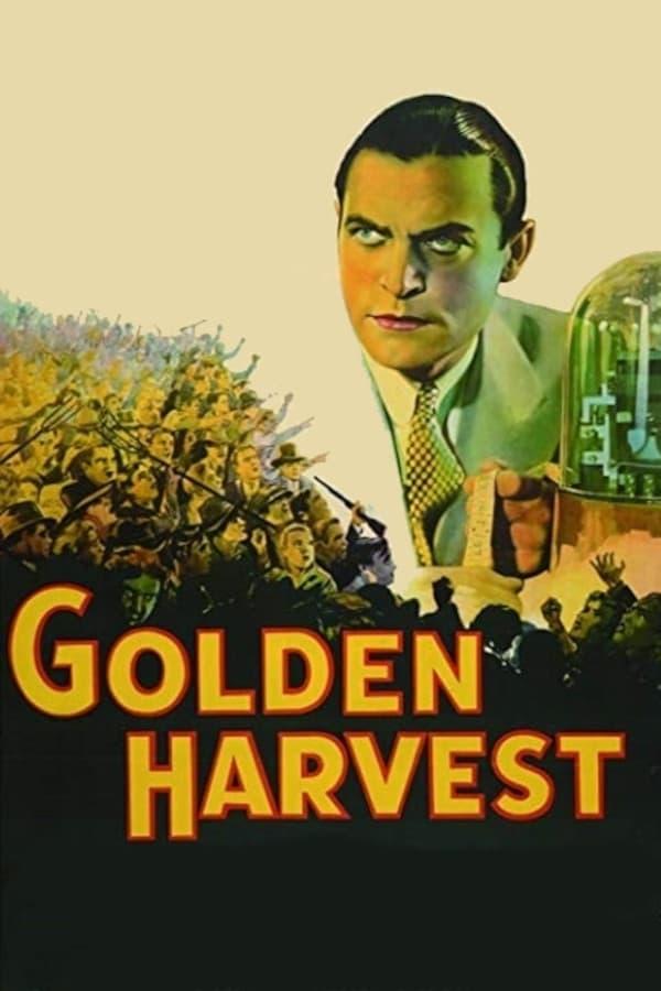 Golden Harvest poster