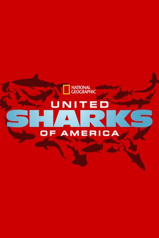 United Sharks of America poster