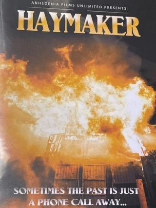 Haymaker poster