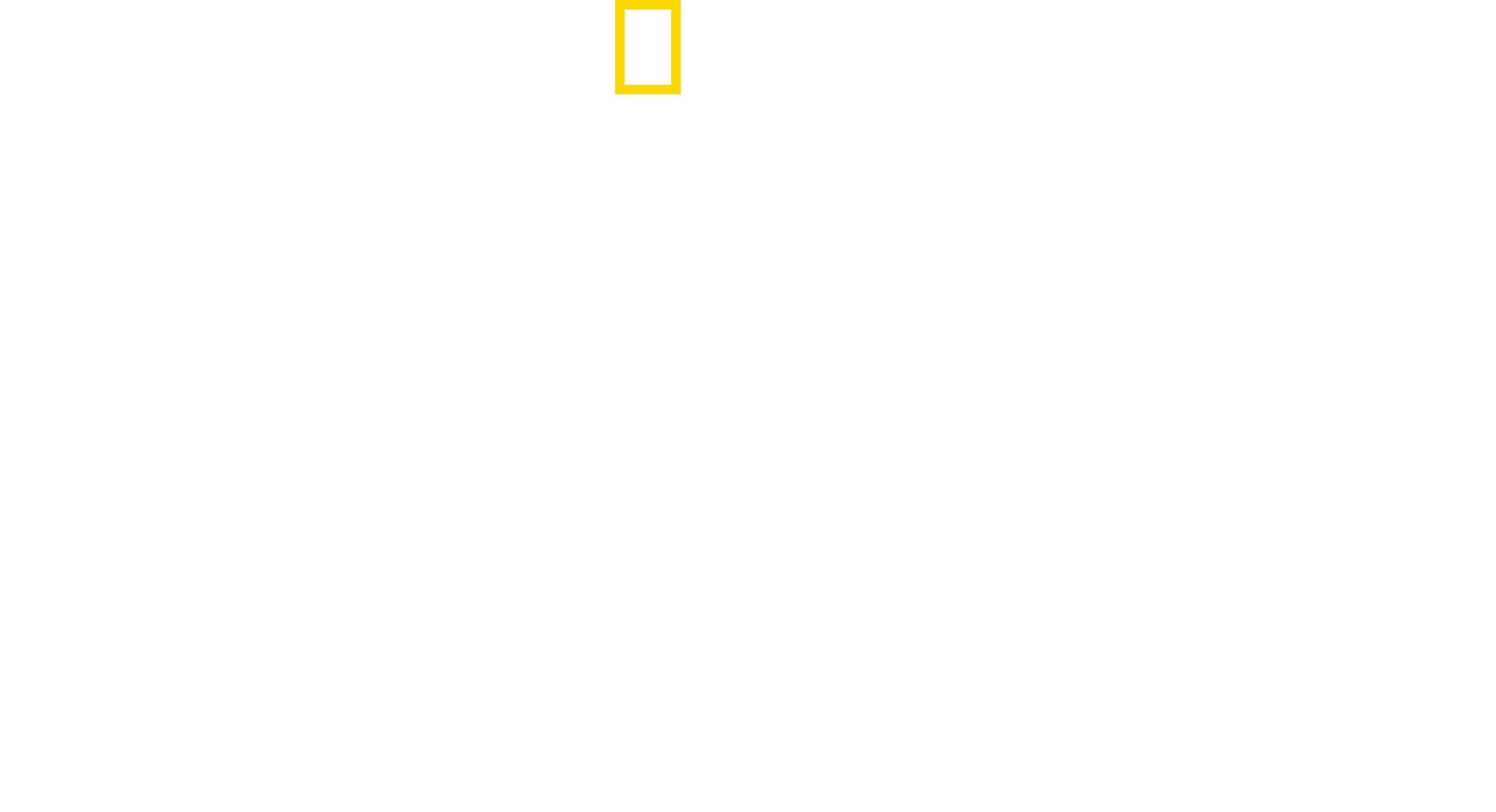 Baby Sharks logo