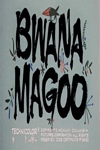 Bwana Magoo poster