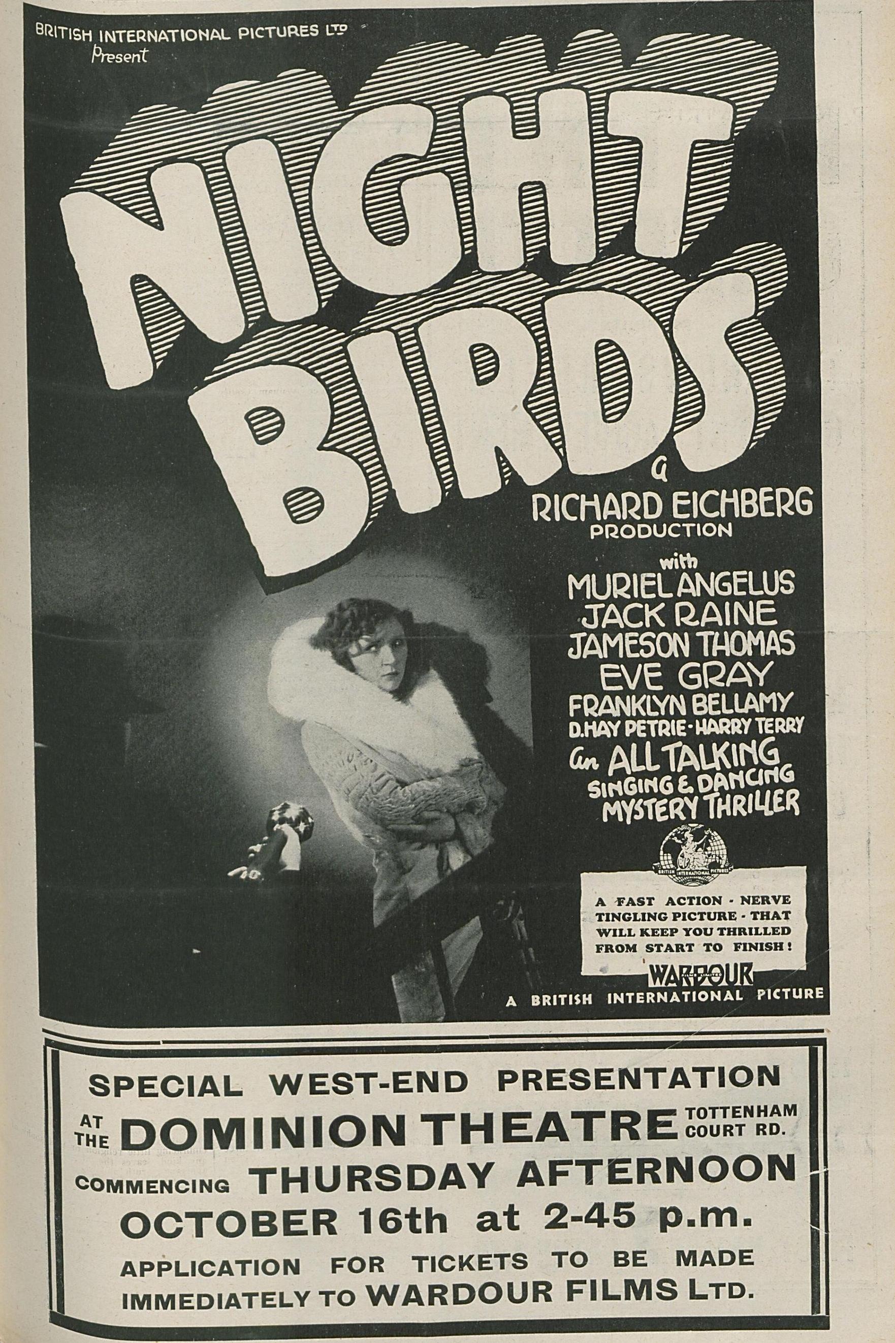 Night Birds poster