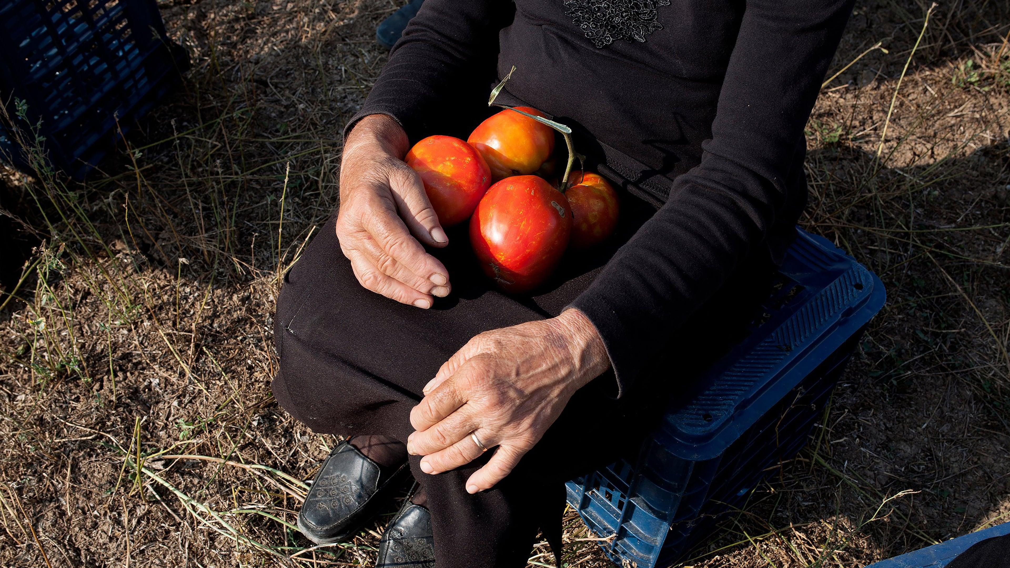 When Tomatoes Met Wagner backdrop