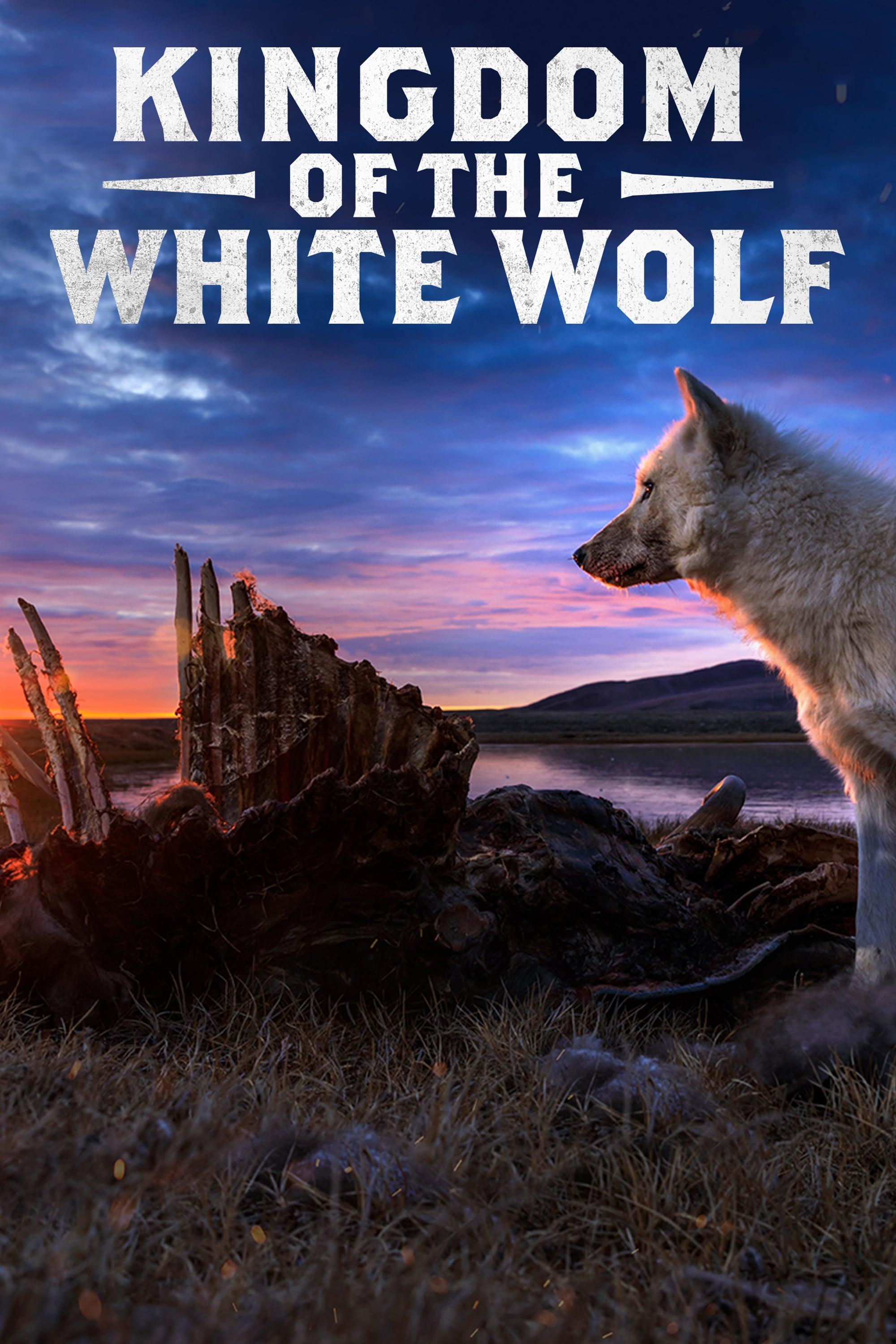 Kingdom of the White Wolf poster