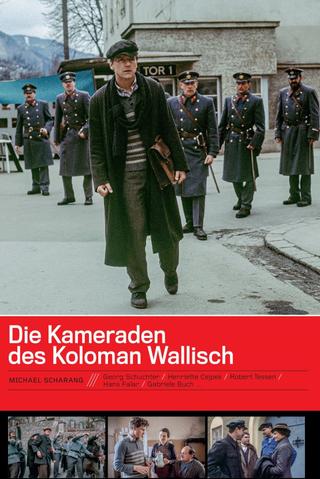 Die Kameraden des Koloman Wallisch poster