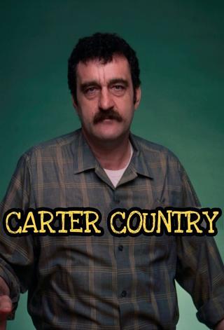 Carter Country poster