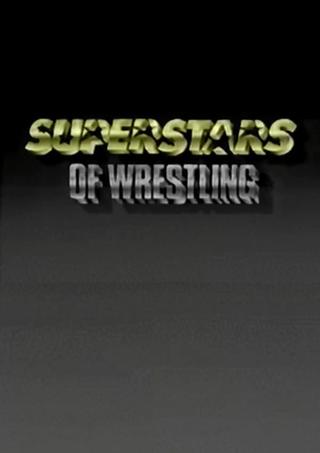 WWF Superstars Of Wrestling poster
