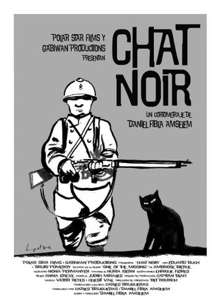 Chat noir poster