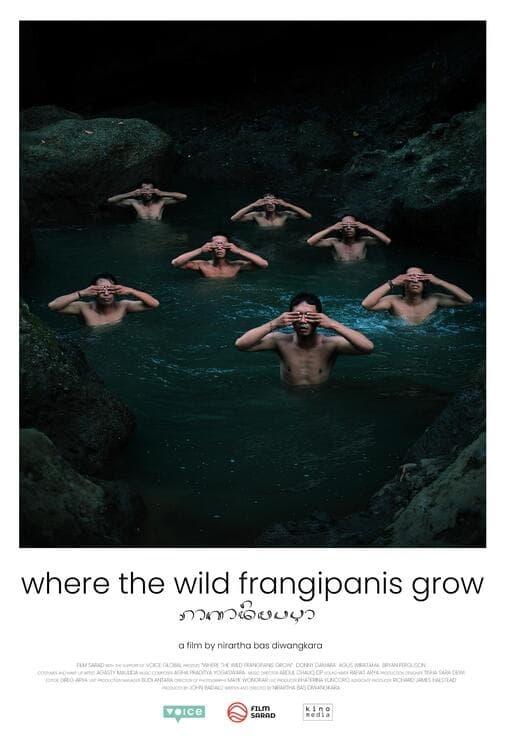 Where the Wild Frangipanis Grow poster