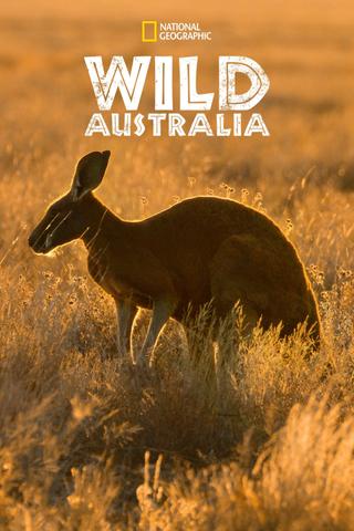 Wild Australia poster