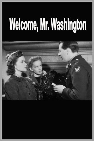 Welcome, Mr Washington poster