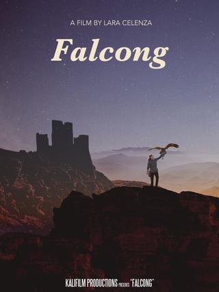 Falcong poster