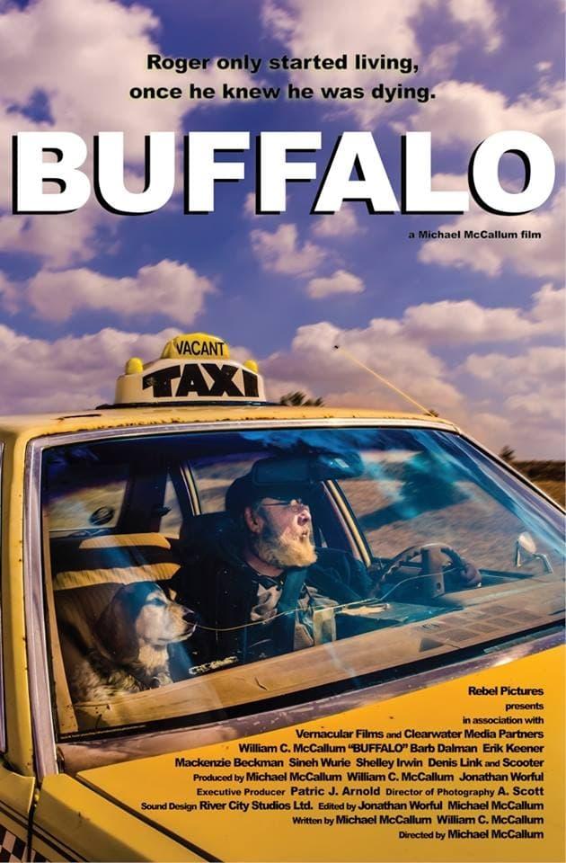 Buffalo poster