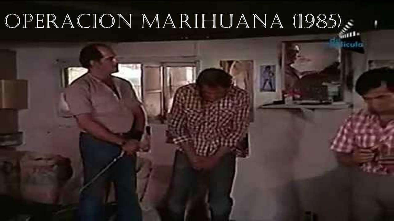 Operacion marihuana backdrop