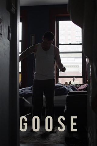 Goose poster