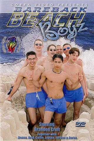 Bareback Beach Boyz poster