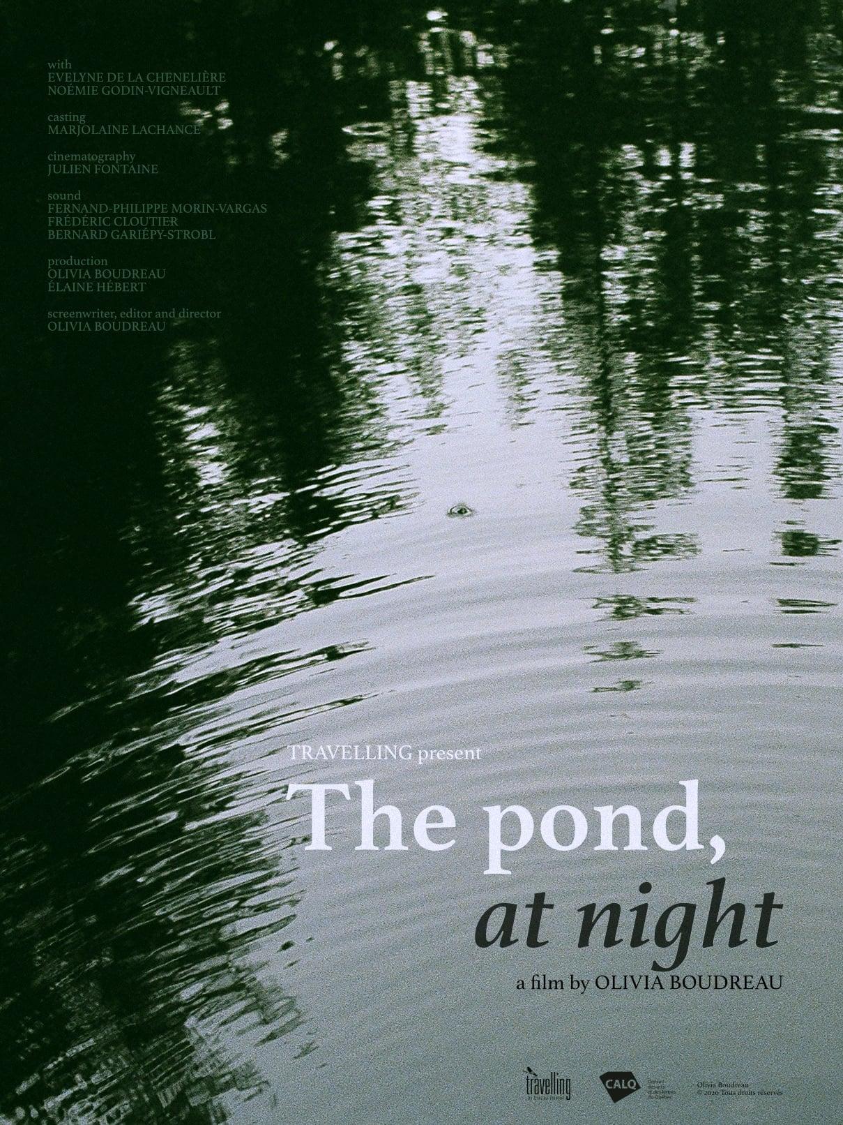 The Pond, at Night poster