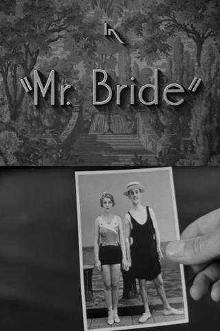 Mr. Bride poster