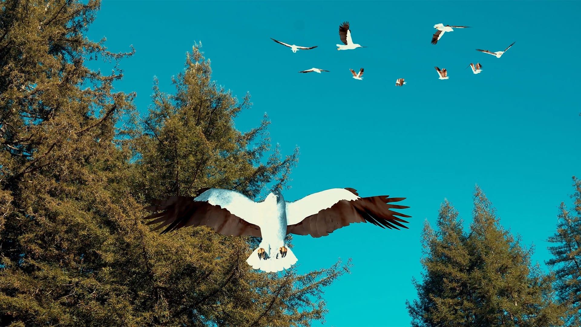 Birdemic 3: Sea Eagle backdrop