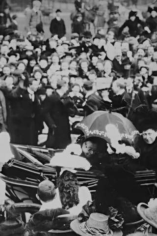 Queen Victoria's Last Visit to Ireland poster