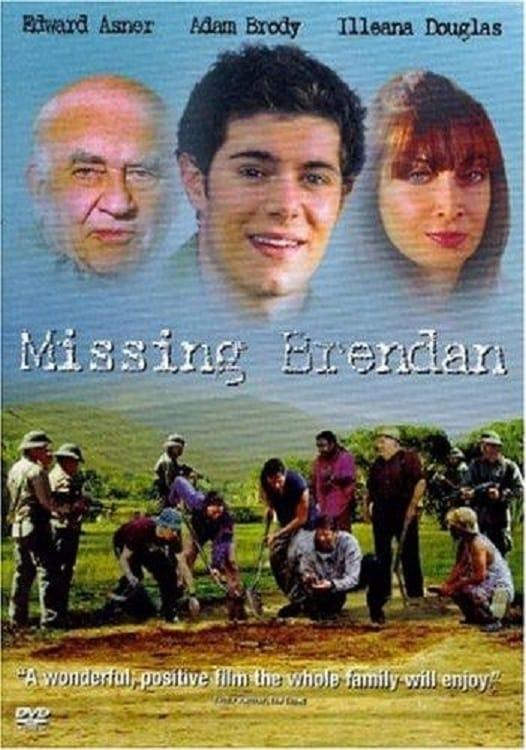 Missing Brendan poster