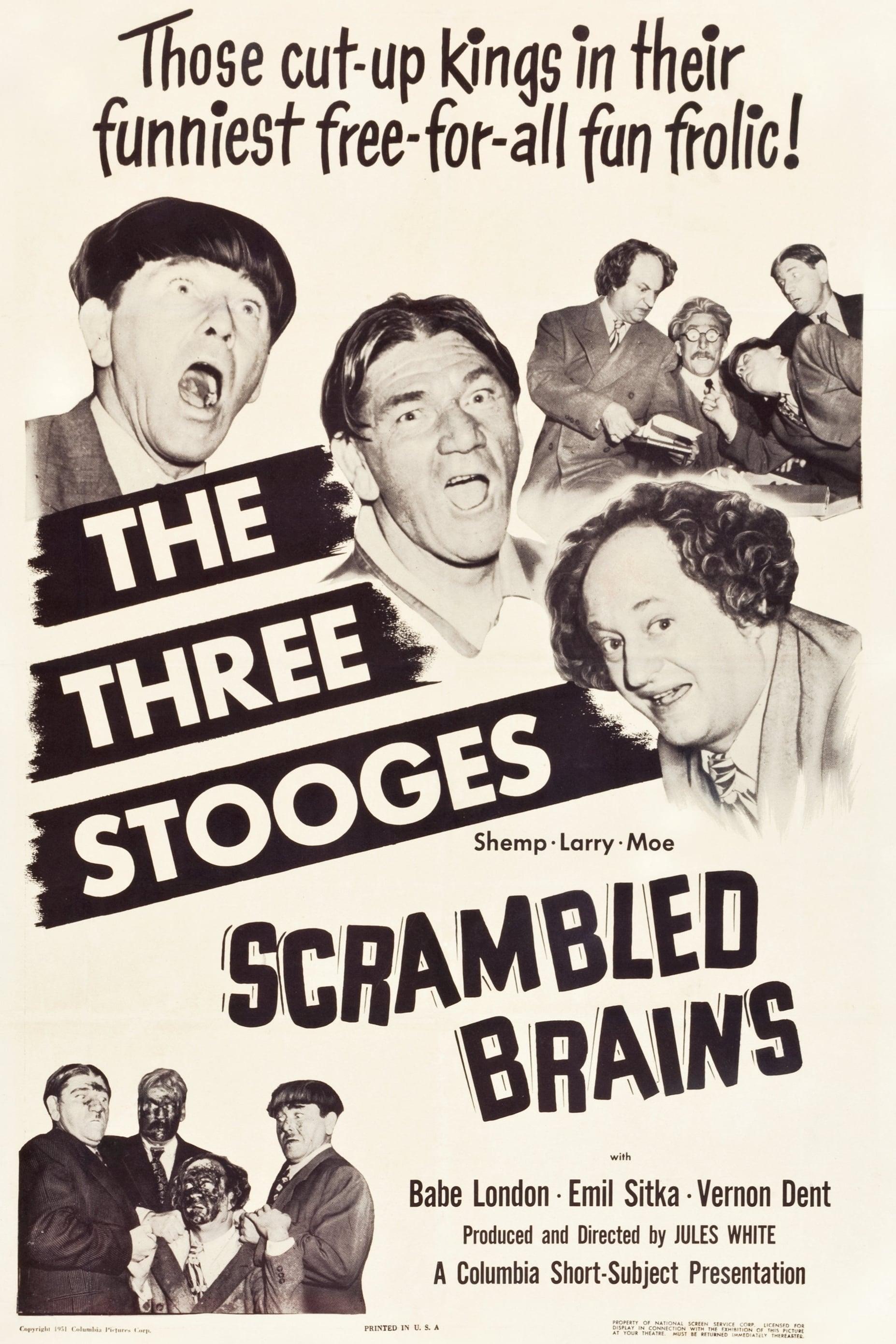 Scrambled Brains poster