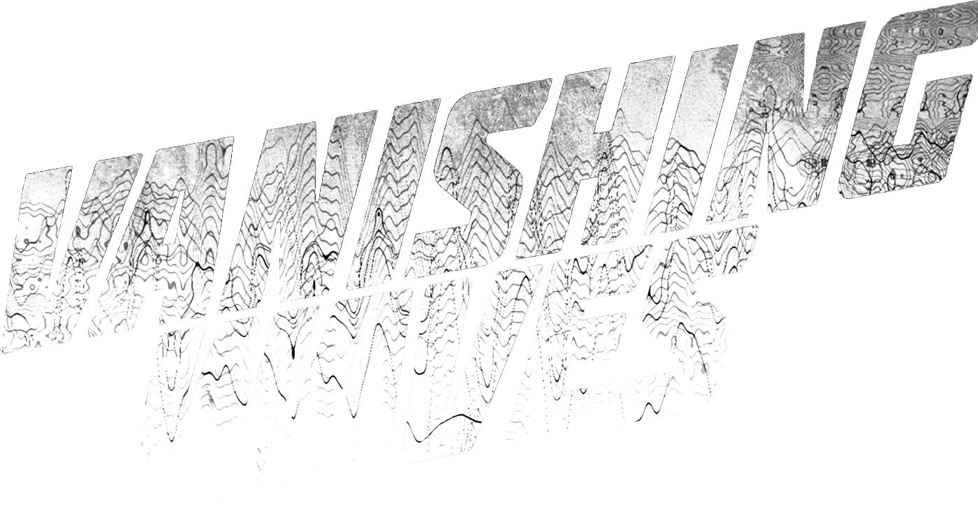 Vanishing Waves logo