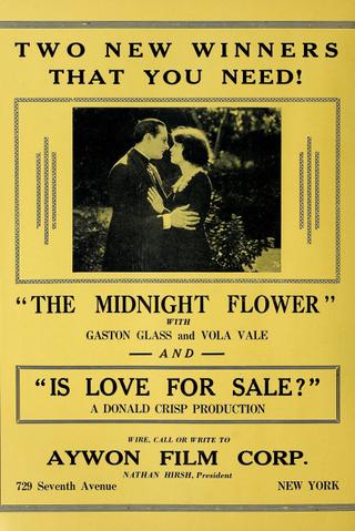 The Midnight Flower poster