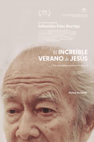 The incredible summer of Jesús poster