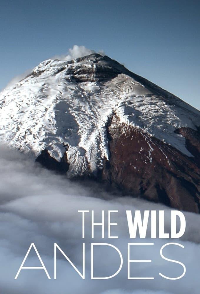 The Wild Andes poster