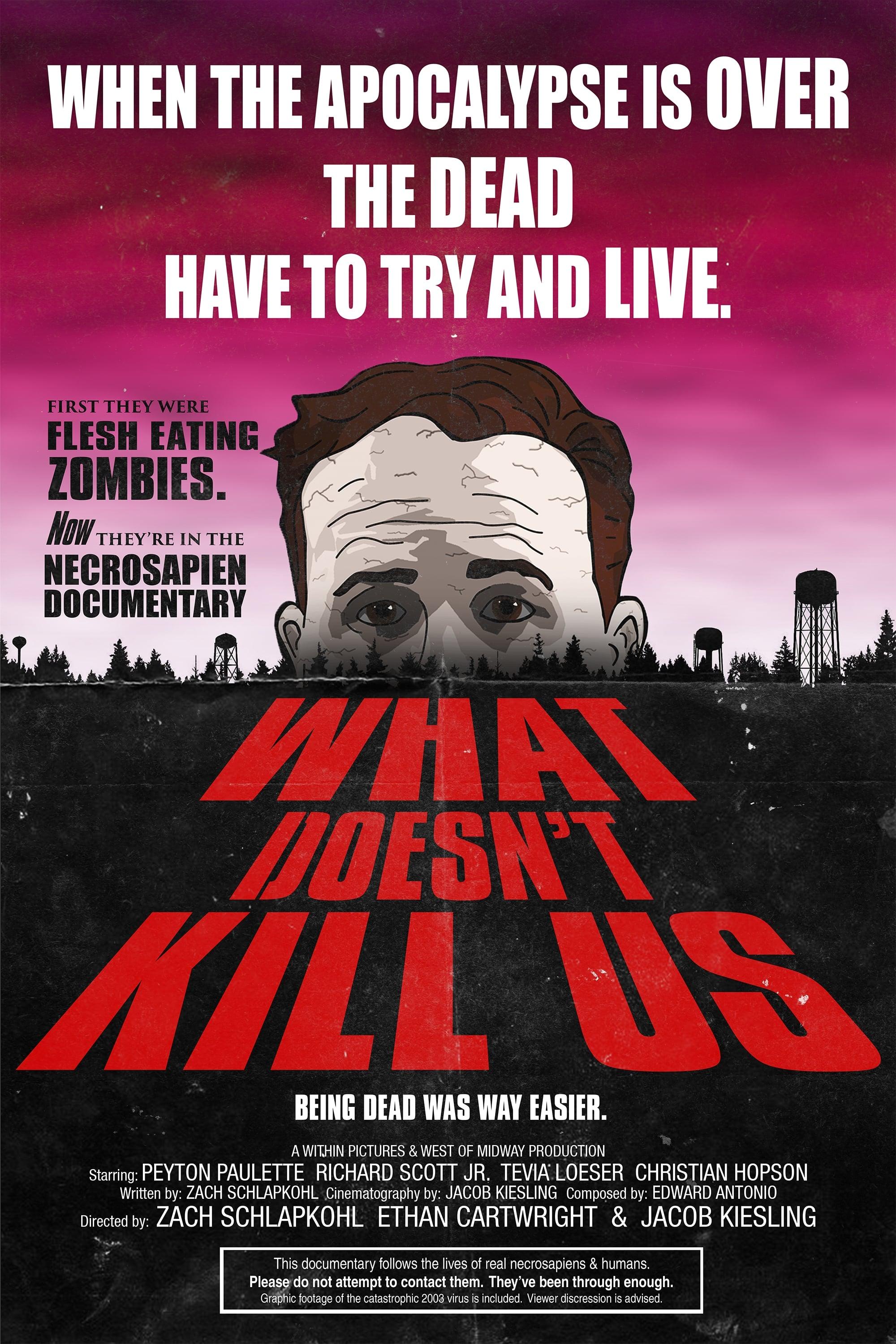 What Doesn't Kill Us poster
