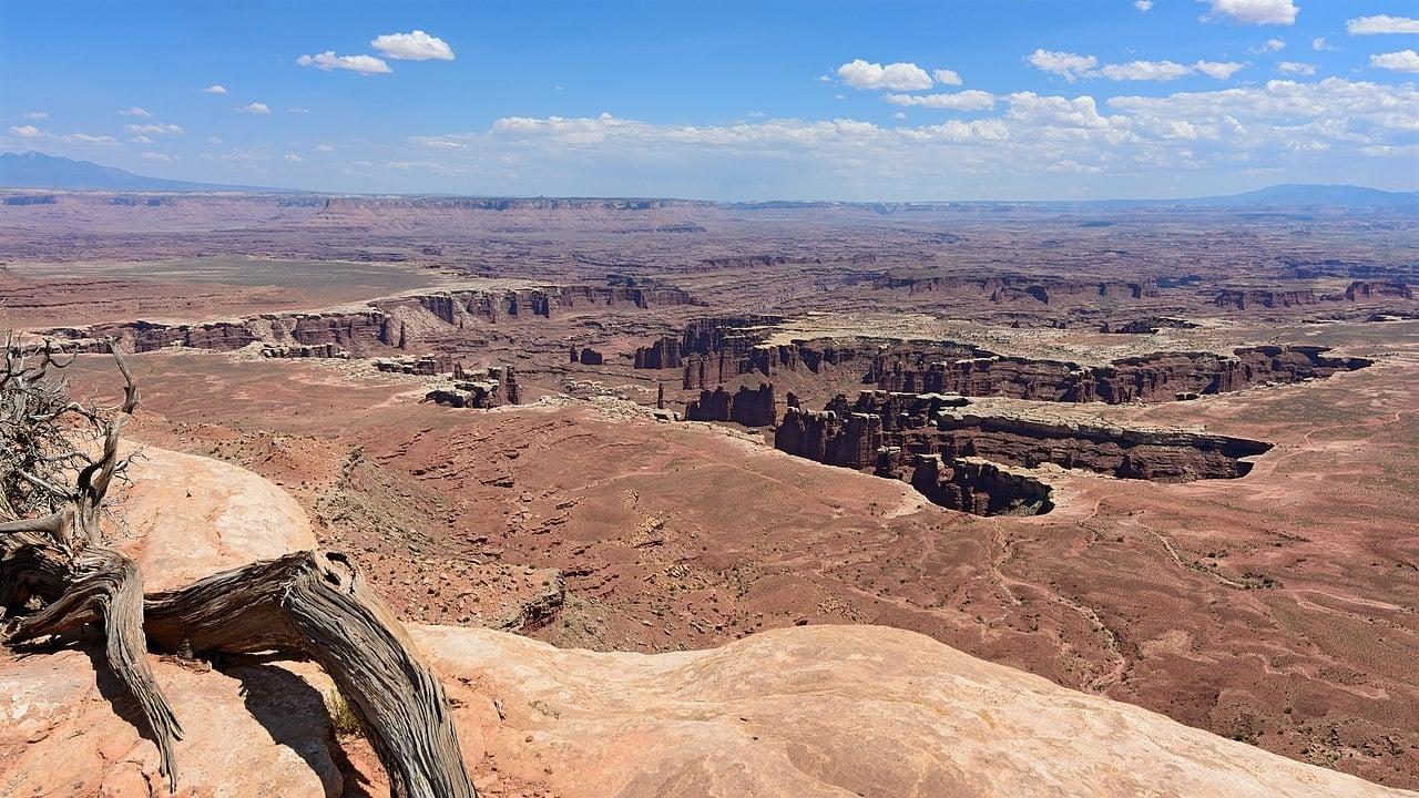 The Canyonlands backdrop