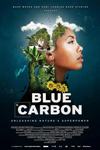 Blue Carbon poster