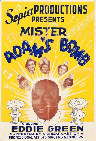 Mr. Adam's Bomb poster